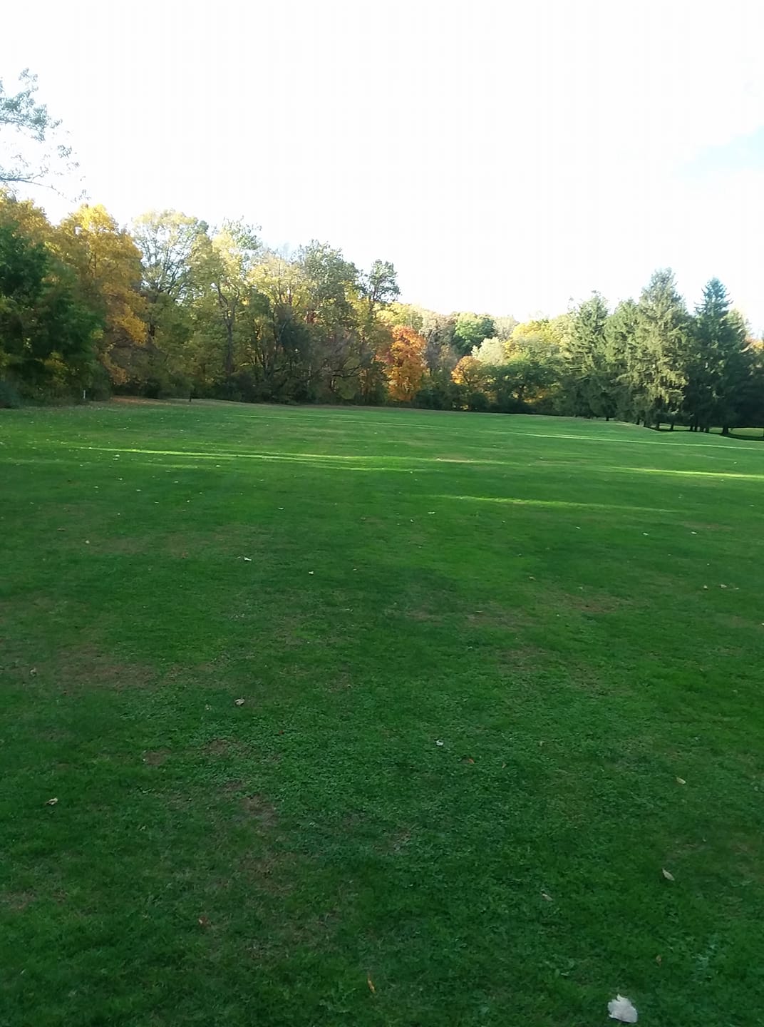 Course greens