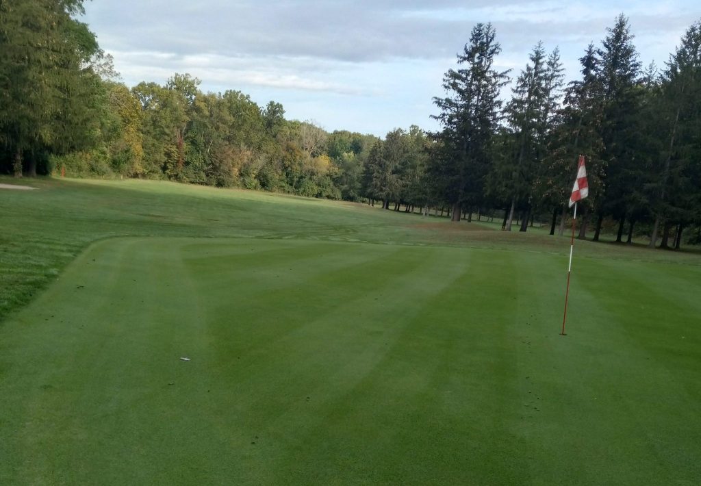 view of golf course green and trees