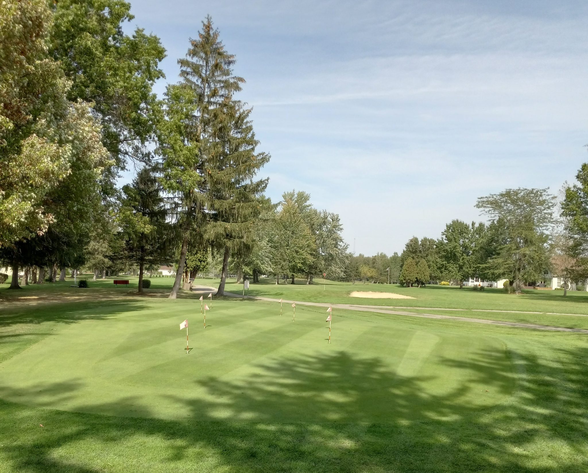 view of golf course green