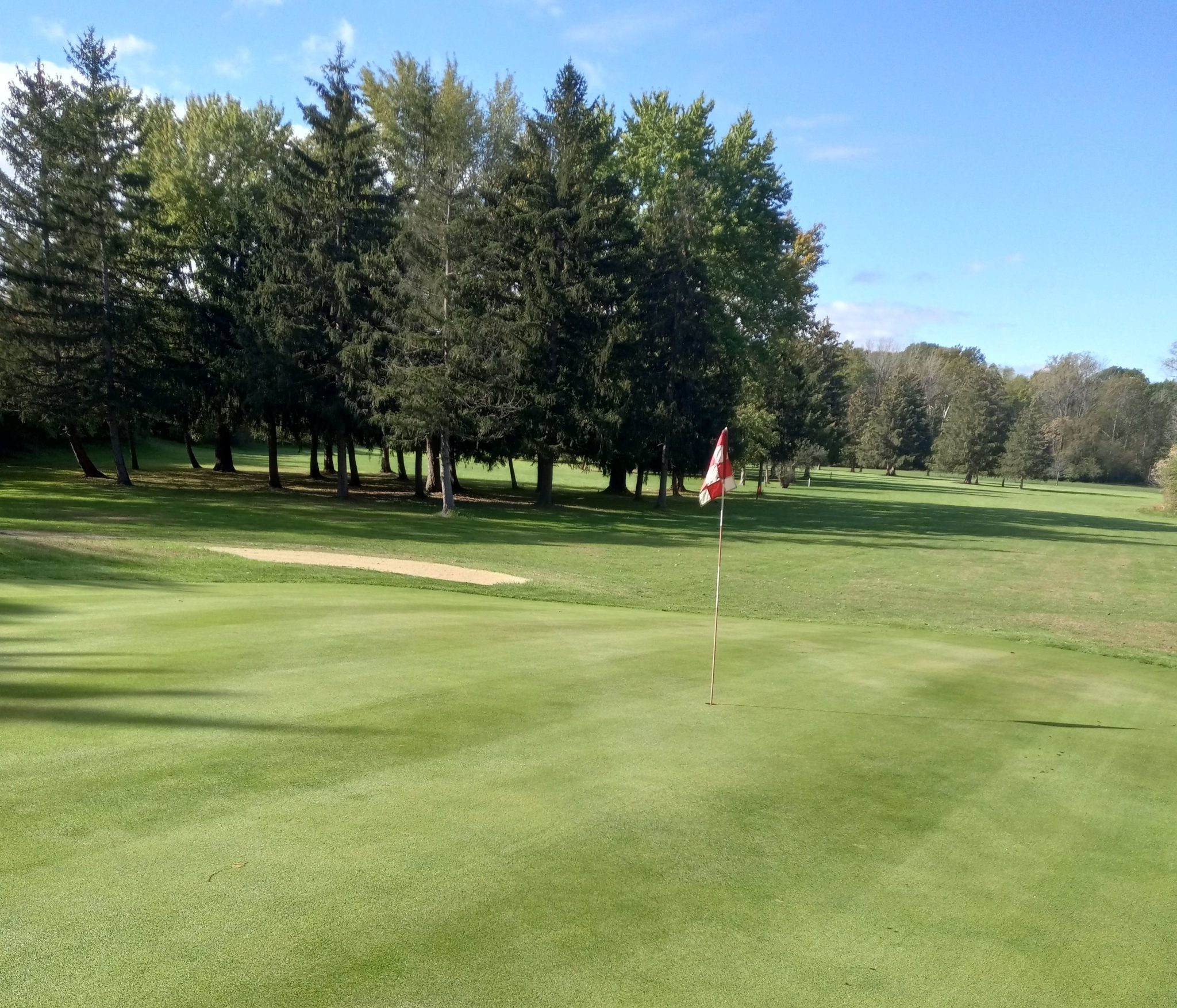 view of golf course green with flag